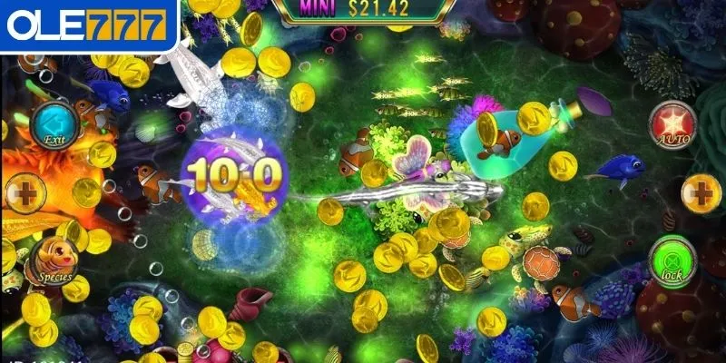 Áp dụng chiến lược ngân sách thông minh