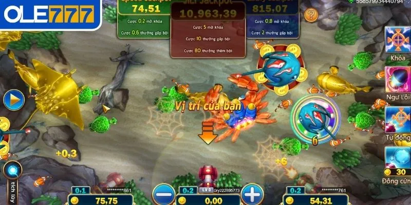 Hướng dẫn tham gia chi tiết